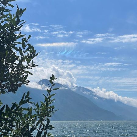 Casa Mia Daire Riva del Garda Dış mekan fotoğraf
