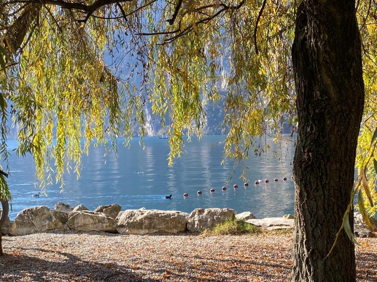 Casa Mia Daire Riva del Garda Dış mekan fotoğraf